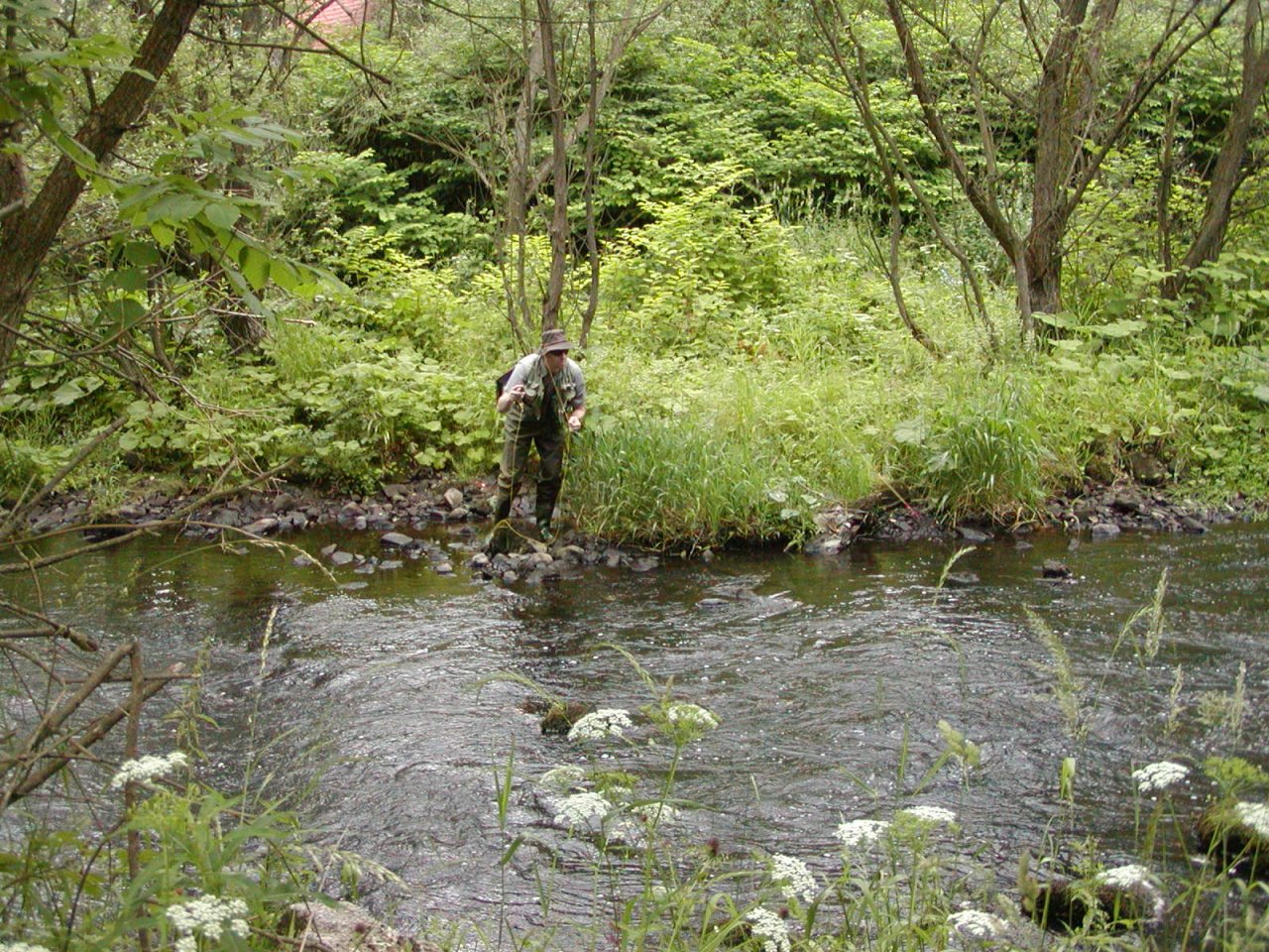 Tepl� pod n�dr�� B�ezov�