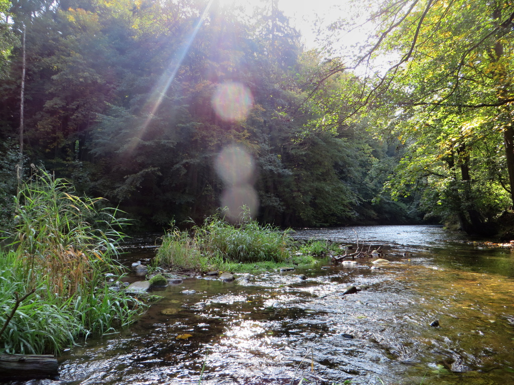 Kouzlo okam�iku...