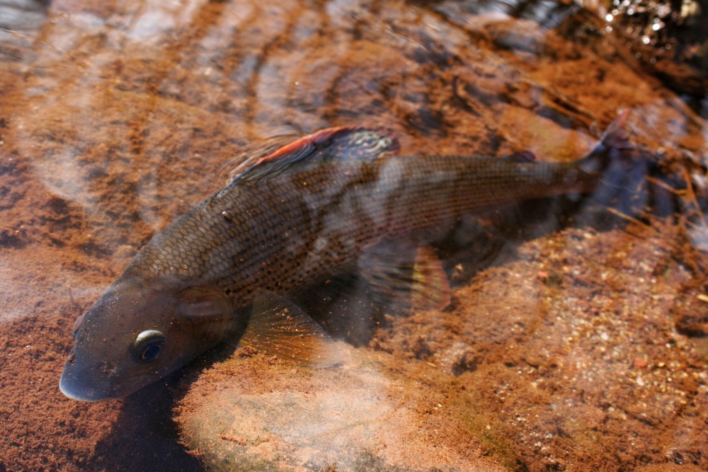 �as k p�em��len� a vz�jemn�mu odpo�inku.