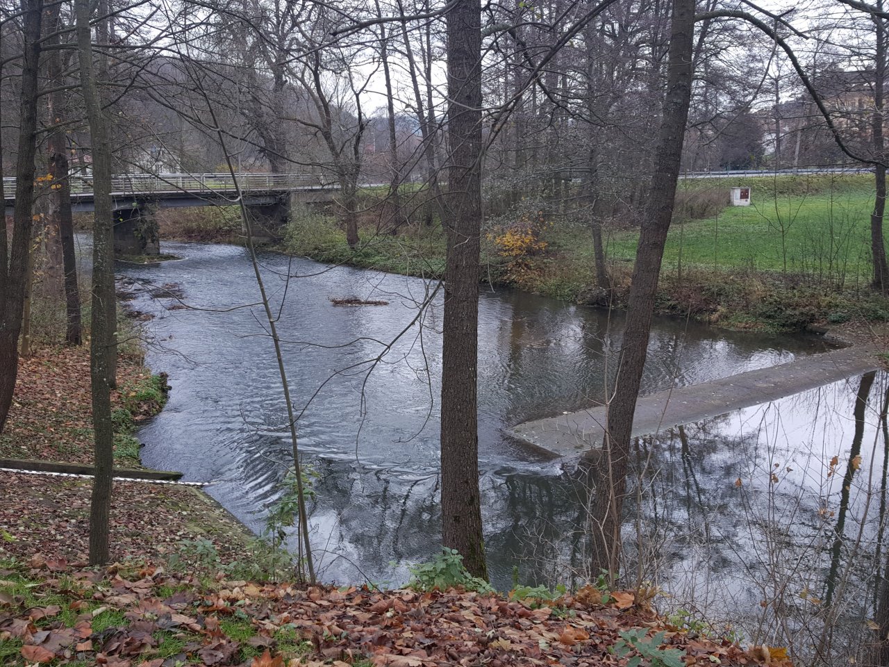 Trnava nedaleko hospody na Kocand�