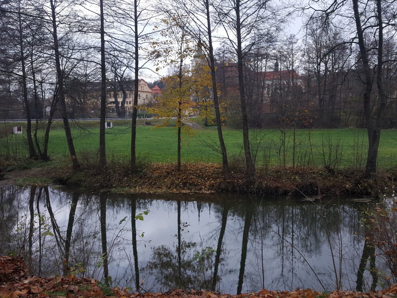 Pomal� �sek s �elivsk�m kl�terem v pozad�