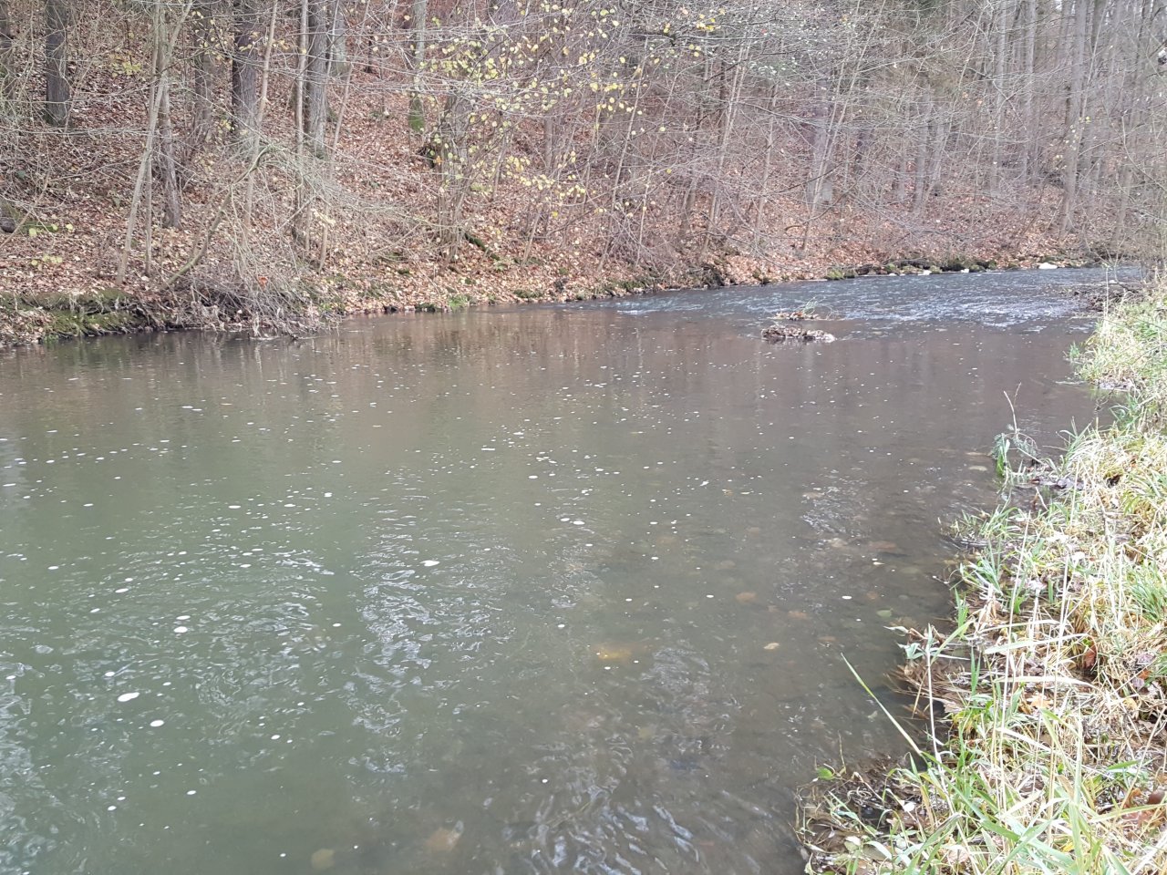 Dobr� t�� pro nymfov�n�