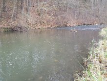 Dobrá tůň pro nymfování