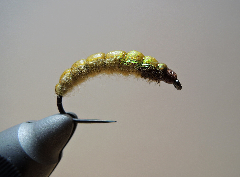 AR Ligh Olive Barbel Rhyacophila