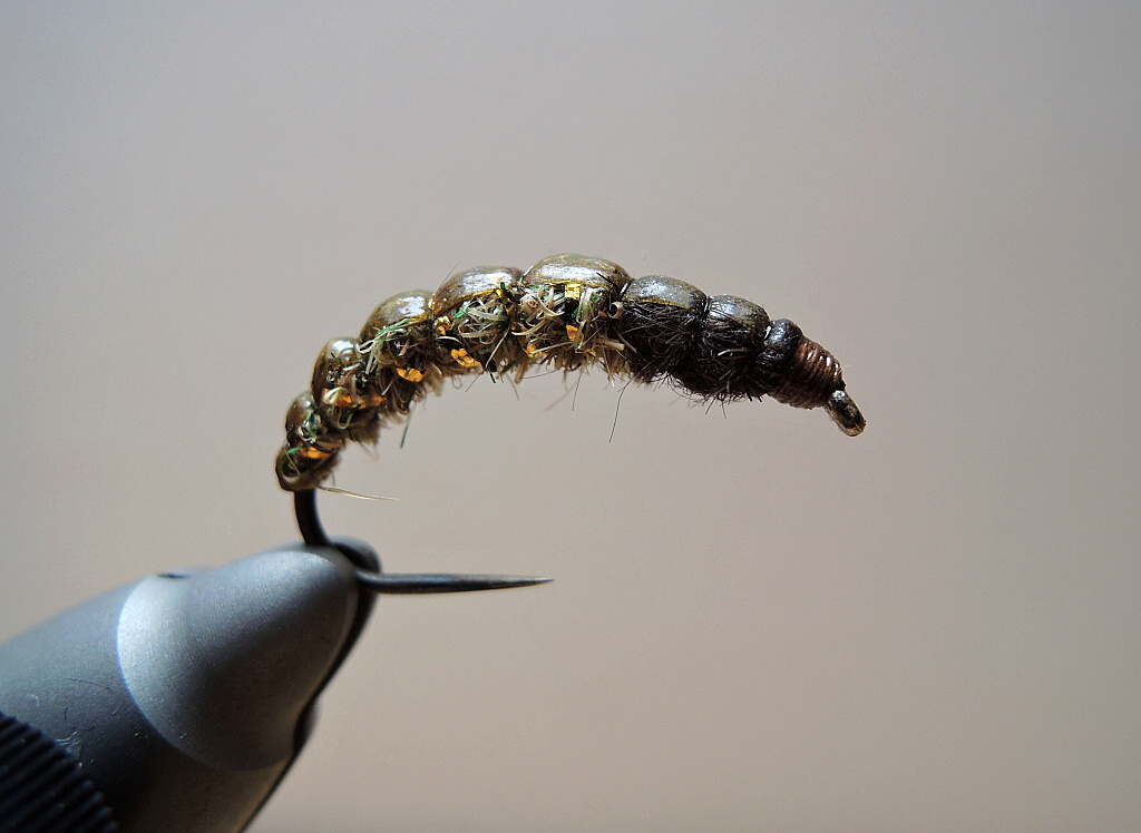 AR Dark Olive Rhyacophila