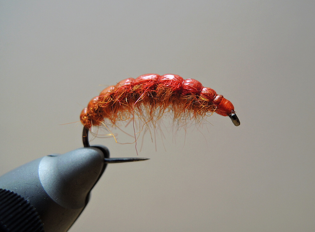 AR Carotene Czech Nymph