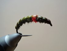 AR Red Heart Spectra Peacock Nymph