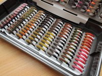 TOP & Oblben esk nymfy z m n krabiky