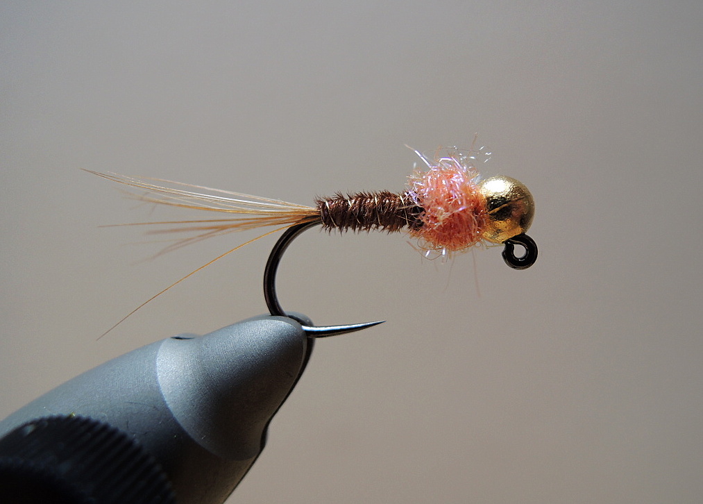 AR Autumn Grayling Hero
