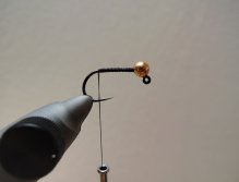 KROK 1 - Hlavička a pevný základ