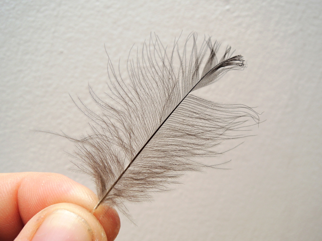 KROK 7 - V�b�r CDC pe��