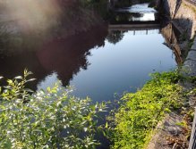 I když se nejedná o dravou peřejnatou řeku uprostřed hustých lesů, i toto má své kouzlo.