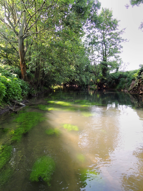 Za��n�me! Slunce ost�e z��� ji� od brzk�ho r�na, ale m�rn� p�ikalen� voda d�v� nad�ji k dobr�mu lovu.