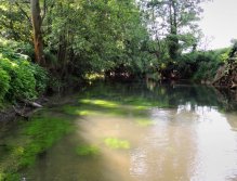 Začínáme! Slunce ostře září již od brzkého rána, ale mírně přikalená voda dává naději k dobrému lovu.