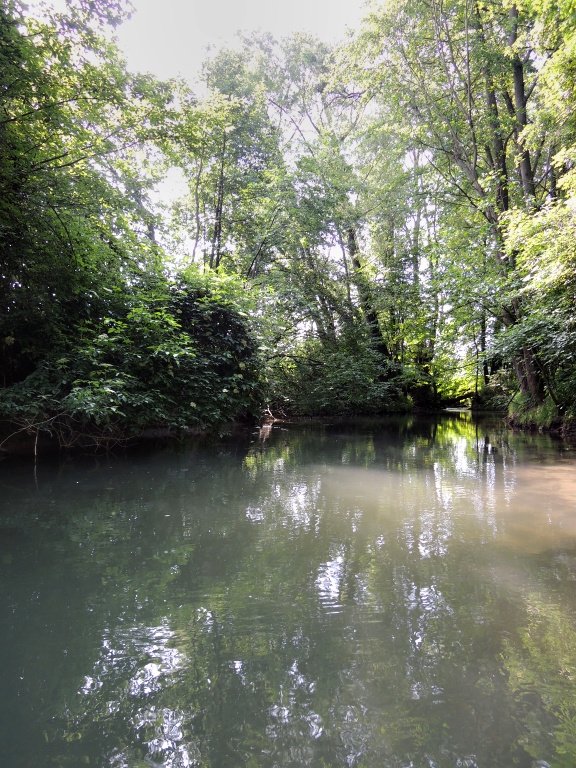 �eka je zde velice �lenit�. M�lk� proudy st��daj� hlubok� a tajemn� t�n�. O p��b�e�n� vegetaci rad�ji ani nemluv�.