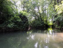 Řeka je zde velice členitá. Mělké proudy střídají hluboké a tajemné tůně. O příbřežní vegetaci raději ani nemluvě.