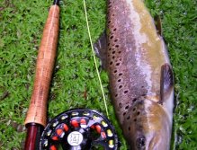 Fotka pěkného zmasilého potočáka z dřívější výpravy. Tehdy to byl opravdu povedený den!