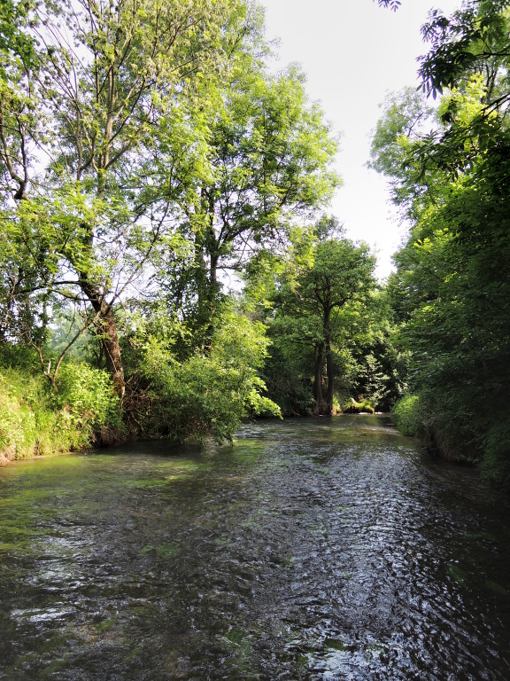 Kouzeln� pe�ejnat� pas�. Ide�ln� m�sto na odpo�inek, nebo� i kdy� je v tento �as bez ryb, kr�sn� se na ni d�v�. 