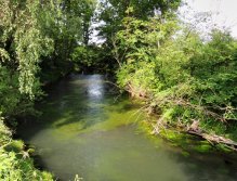 Parádní úsek řeky, který je v tomto počasí ovšem velice těžce chytatelný, neboť všechny ryby čekají v úkrytech na bezpečnější podvečerní lov.