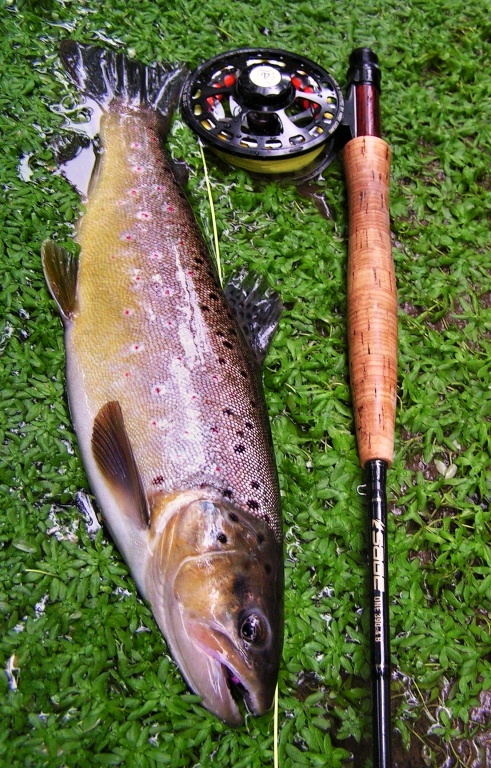 Mohyk�n z dlouh� t�n�. Dlouh� a nap�nav� souboj, rychl� fotka a rychle zp�t do vody.