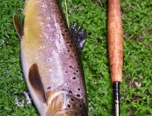 Mohykán z dlouhé tůně. Dlouhý a napínavý souboj, rychlá fotka a rychle zpět do vody.