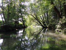 Tajemná tůň, která snad nikdy nezklame a vždy nějaký svůj poklad vydá.