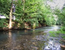 Krásný a můj oblíbený úsek řeky. Velice pěkný proud s potočáky a lipany, když se tedy ovšem trefíte do správných podmínek.