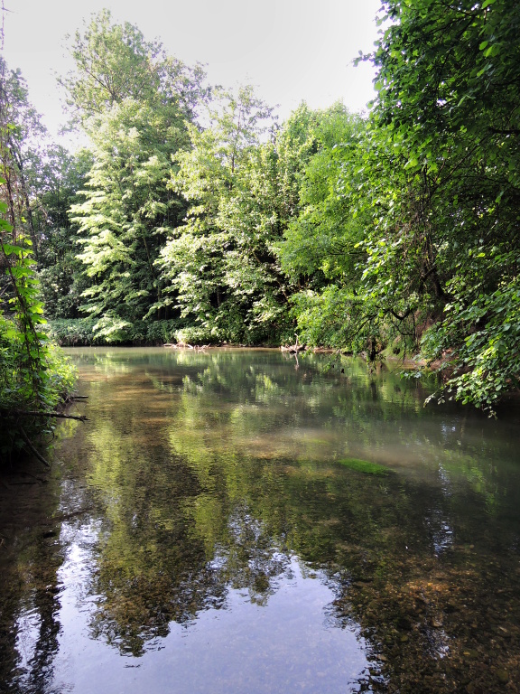 Dal�� moc p�kn� pas� na �ece. Del�� hlubok� proud skr�vaj�c� p�ekvapen�. 