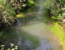 Hezký hlubší proud v zatáčce. Zde se ale tentokrát žádný rybí zážitek bohužel nekonal.