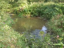 Trnávka pod Samšínem