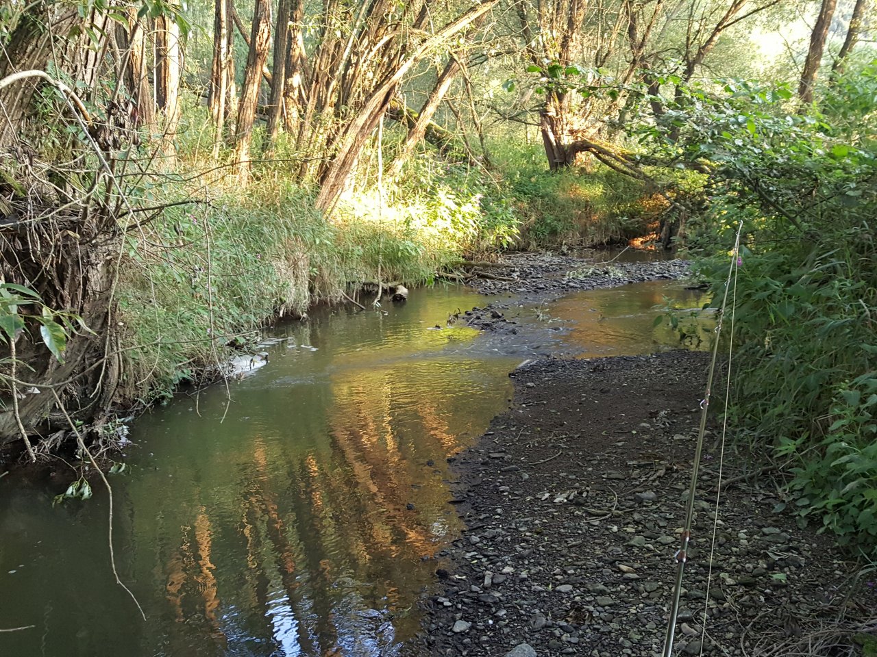 Trn�vka - p�ed prvn�m nahozen�m