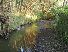 Trnávka - před prvním nahozením