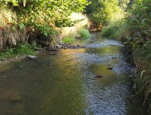 Trnávka nedaleko Hrádku u Pacova