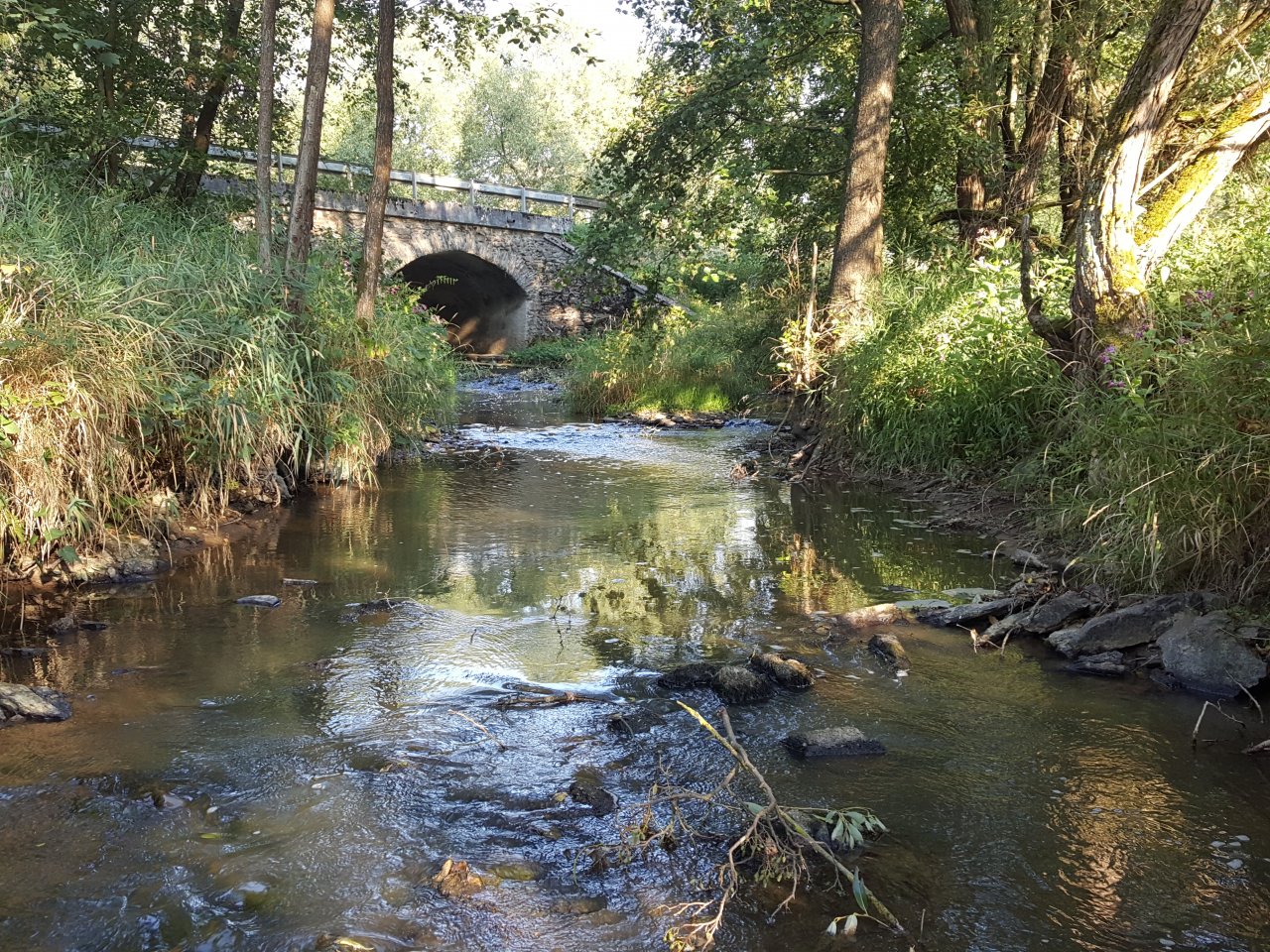 Trn�vka - silni�n� most pod Hr�dkem