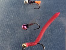 Úspěšné zimní nymfy