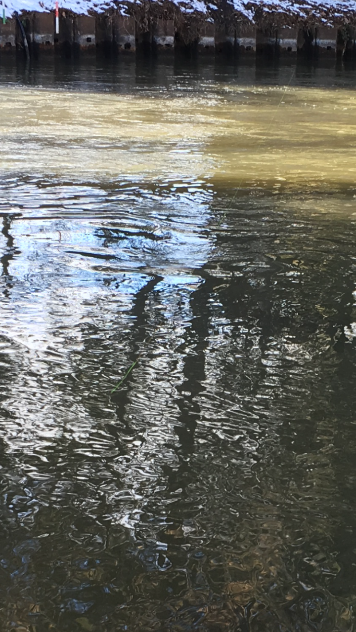 Jedno z mo�n�ch m�st pro zimn� nymfov�n�