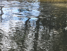 Jedno z možných míst pro zimní nymfování