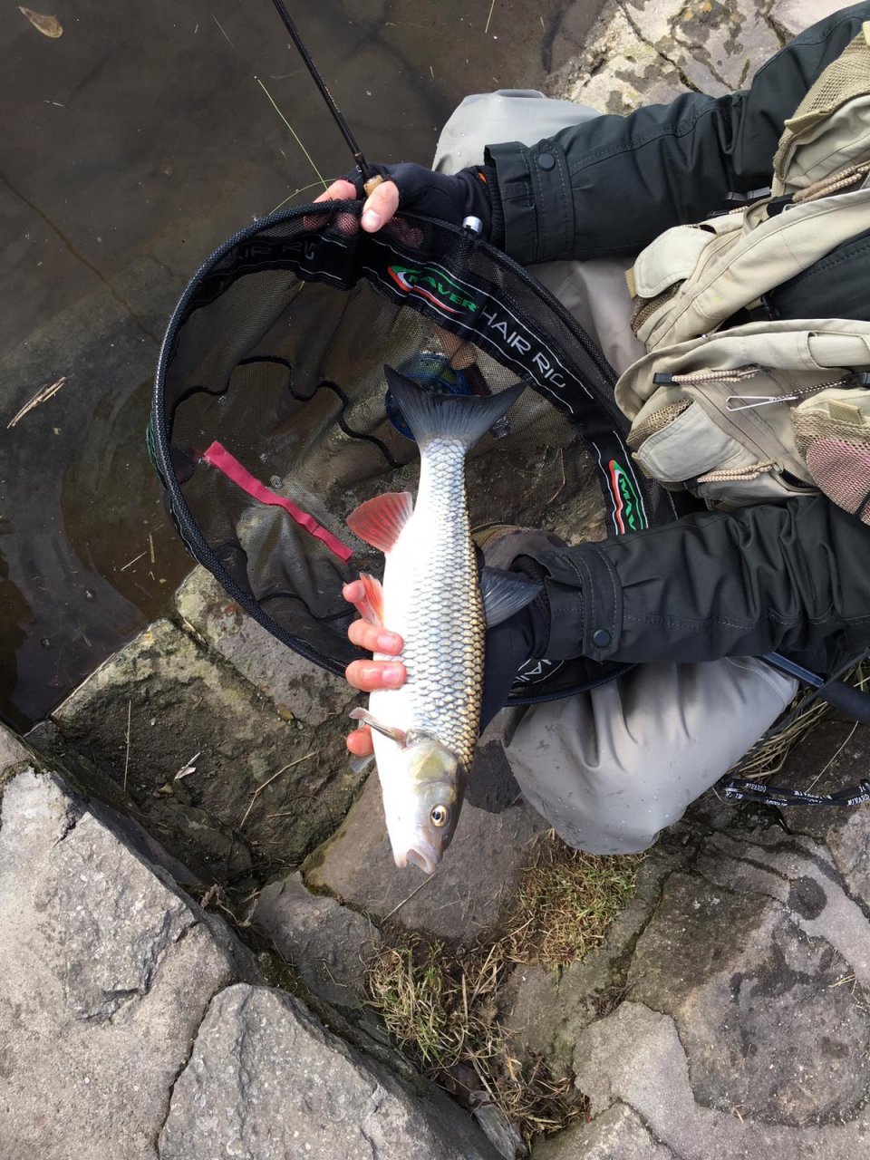 Kr�sn� zimn� �lovek