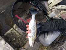 Krásný zimní úlovek