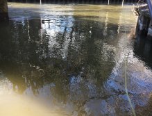 Místo pro nymfování