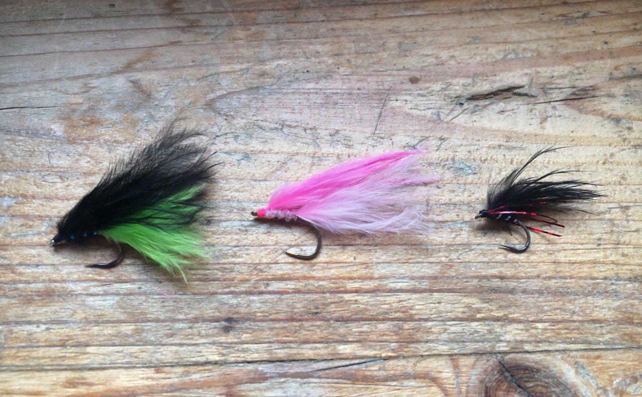 Vivy pro jezern� mu�ka�en�