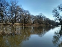 Pěkné místo pro začátek lovu! Z hlavního proudu opodál najíždějí ryby do malé zátočiny - mého loviště!