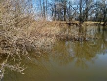 Zatopené stromy znamenají vždy dobrý a bezpečný úkryt pro ryby! Pokud se nám podaří dostat naše mušky do takových míst, záběr přichází velice rychle a často se jedná o pěknou rybu!
