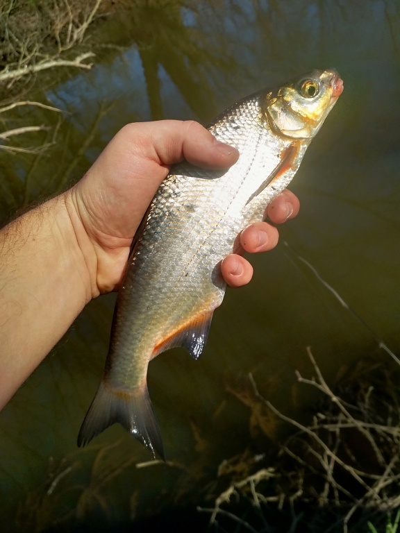 Prvn� zlat� �lovek na sebe nenechal p��li� dlouho �ekat! P�kn� men�� podoustev do za��tku!