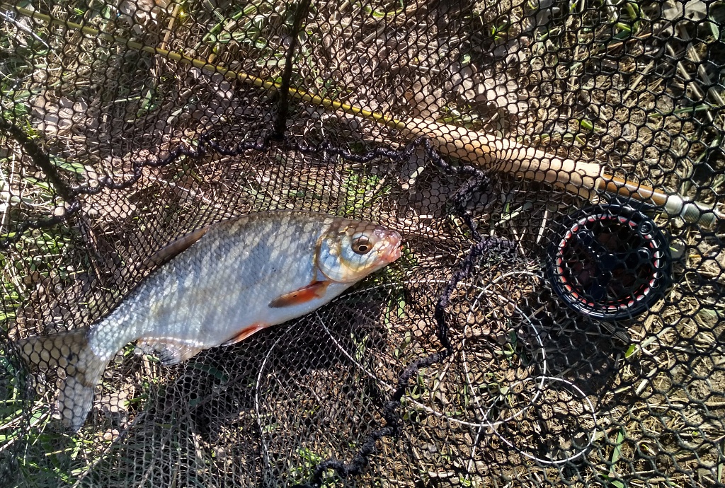 Nesm� chyb�t klasick� kompozice Fish & Gear. �asto ta jedin� sch�dn� mo�nost vyfocen� �lovku, v p��pad� pokud chod�me k vod� v�t�inu �asu sami! 