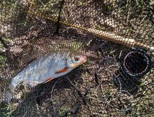 Nesmí chybět klasická kompozice Fish & Gear. Často ta jediná schůdná možnost vyfocení úlovku, v případě pokud chodíme k vodě většinu času sami!