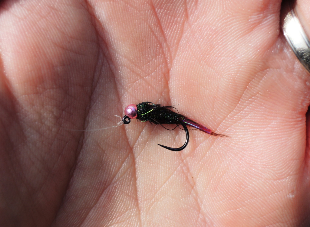 AR Pink Tag Green Peacock Jig. N�co mezi nymfi�kou a mokrou mu�kou! Nicm�n�, tak jako tak se jedn� o vynikaj�c� vzor mu�ky, kter� s oblibou pou��v�m po cel� rok p�i lovu b�l�ch na mimopstruhov�ch vod�ch!