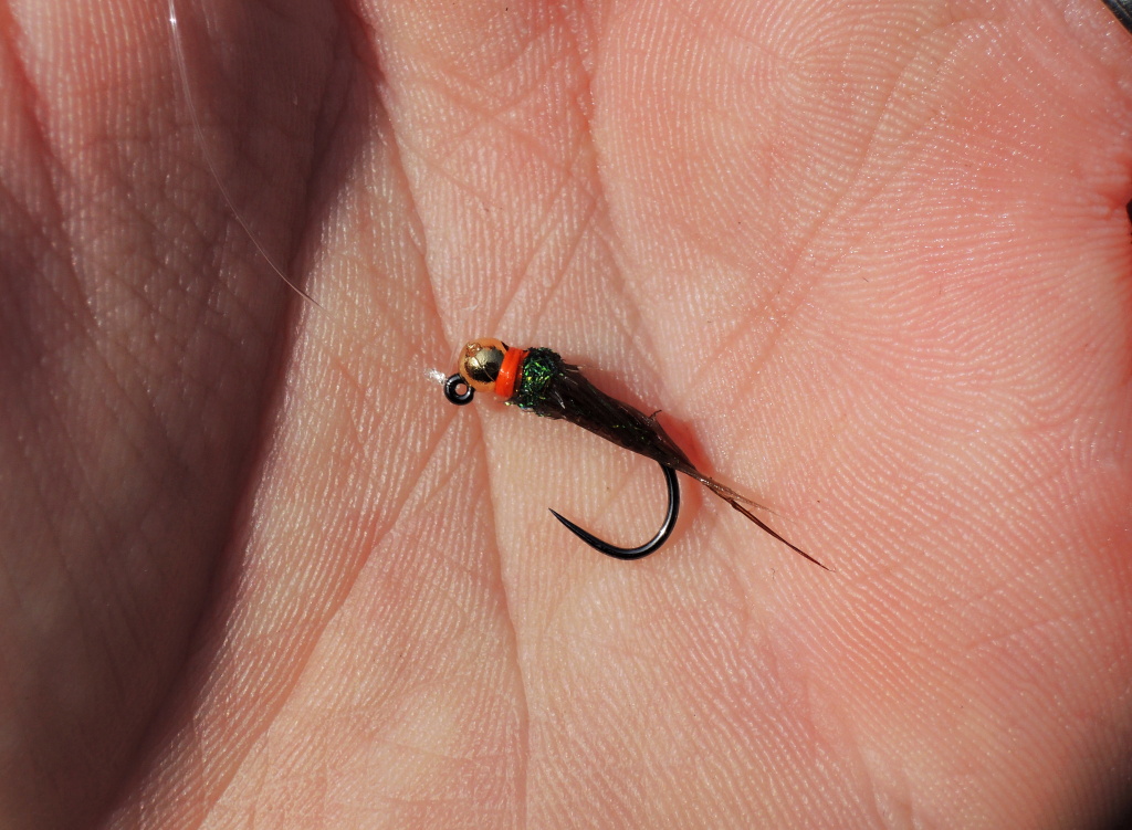 Dal�� v�te�n� nymfov� vzor AR Bodyglass Slim Jig. Tuto mu�ku nej�ast�ji pou��v�m jako p��v�snou. Jej�m hlavn�m �kolem je zaujmout ryby pod hladinou a ve vodn� sloupci, nikoliv u dna. D� se ��ci, �e s n� lov�m sp�e mokr�m stylem, co� se ryb�m moc l�b�!