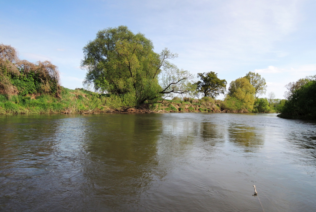 Par�dn� m�sto jako d�lan� pro lov velk�ch tlou�t�, bolen� pop�. i cejn� a dal��ch zaj�mav�ch ryb. Velk� �eky jsou �asto m�lo dostupn� - hledejte proto �lenit� a m�l�� partie s pomalej��mi vedlej��mi proudy, vrac�ky a t�n�mi! Ryby takov� m�sta miluj�.