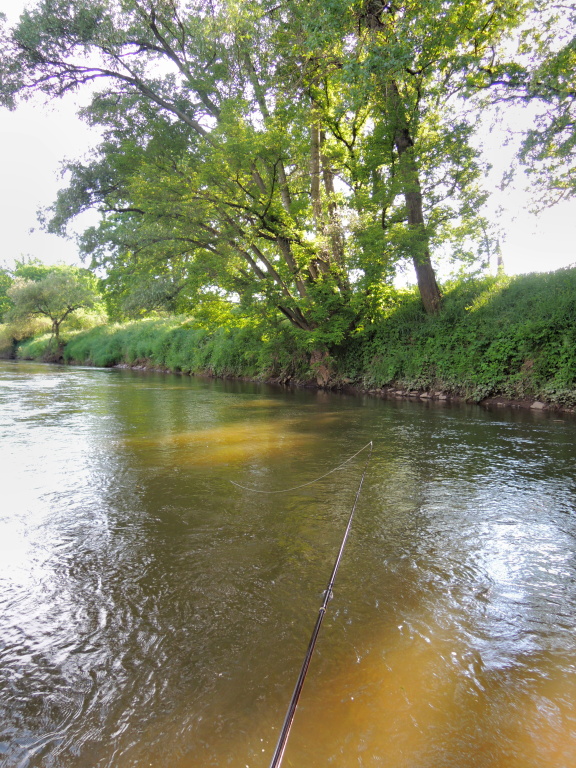 Lehce zakalen� voda v p�kn�m p��b�e�n�m proudu. Ide�ln� �as pro mokr� styl s tmav��mi vzory. Mu�ky nahazujte do b�ehu a nech�vejte je pomalu un�et ve vodn�m sloupci. A nebojte se, �e byste z�b�ry nepoznali. Ryby v�m budou trhat ���ru z rukou!